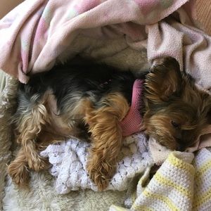 Meet your Posher, Debi